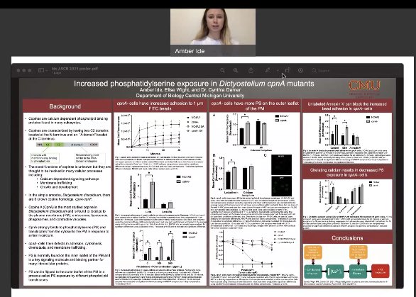 LabDamer's tweet image. PhD student Amber Ide is getting ready for her poster presentation at #cellbio2021 next week.