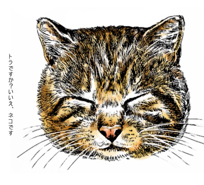 アナログペン画のtwitterイラスト検索結果