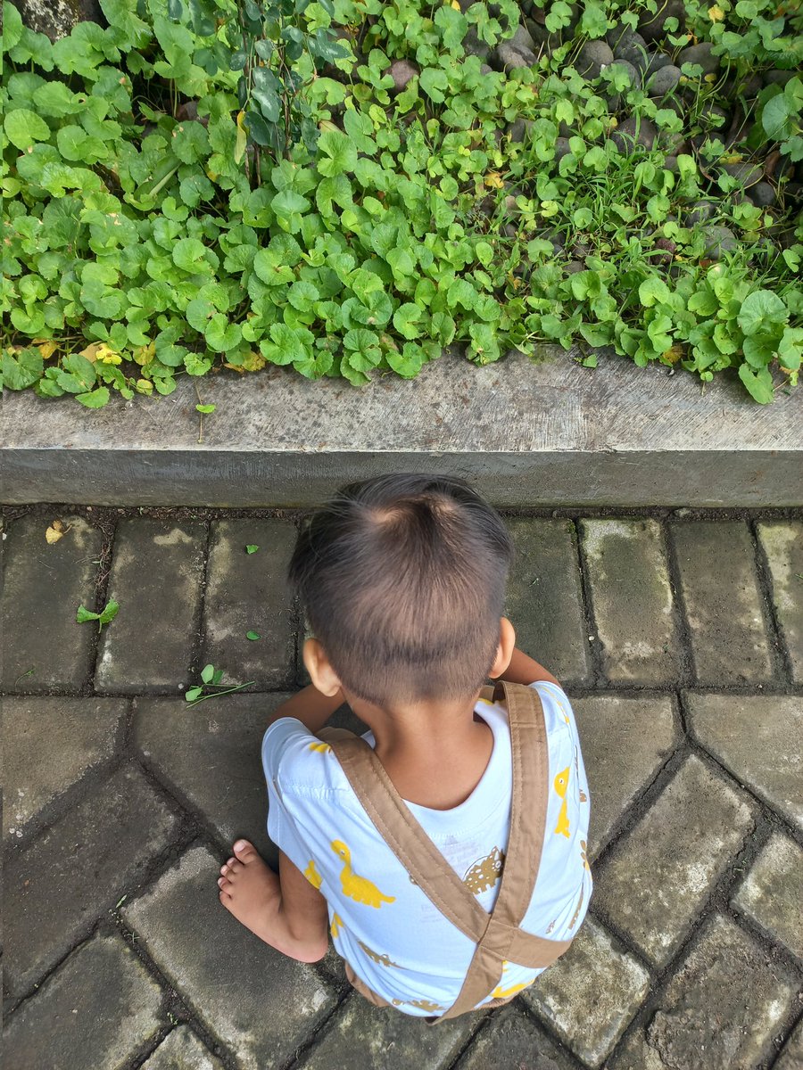 nikegeba's tweet photo. Zav dan centella, haha https://t.co/WBhviEsPHO