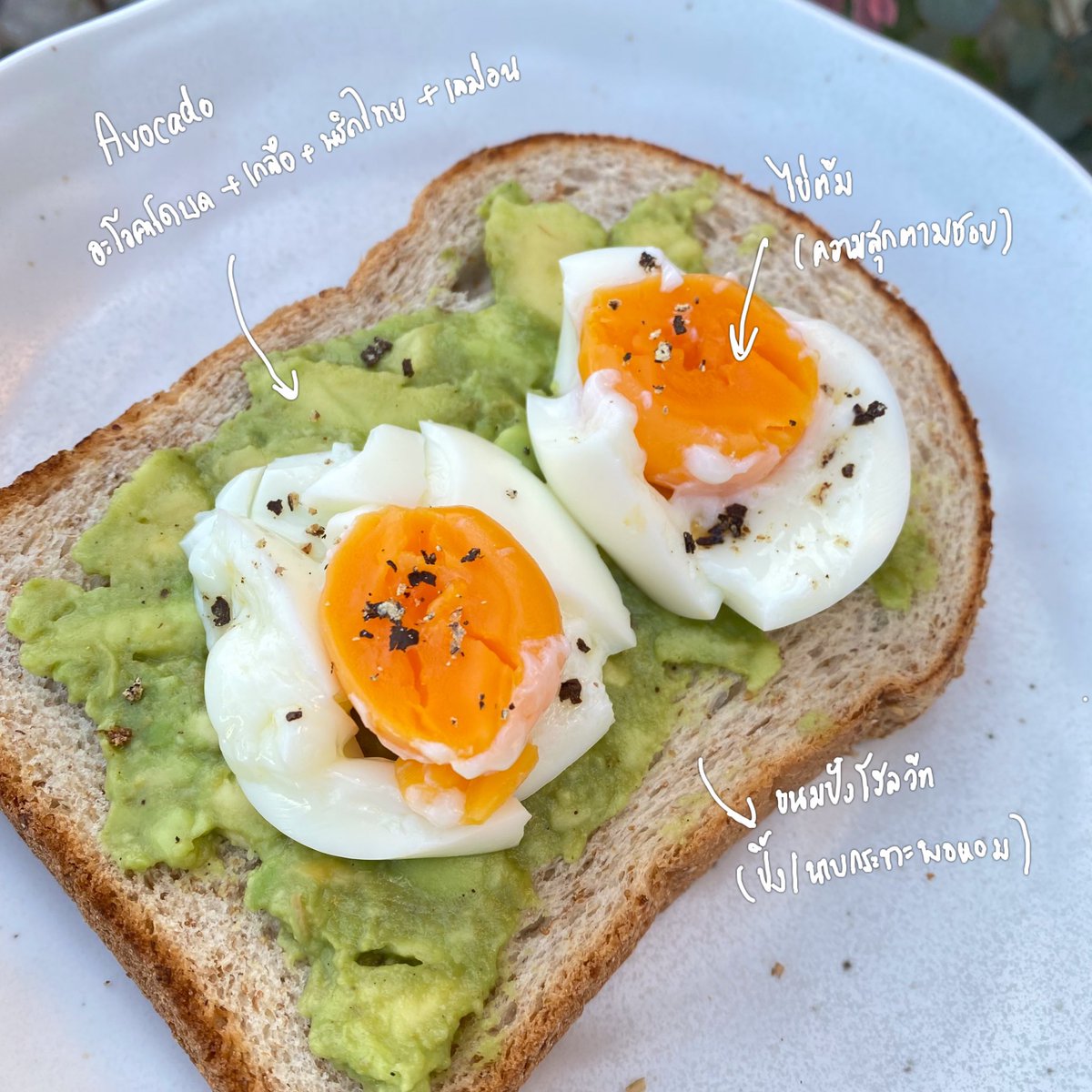 ใครเป็นทาสรัก Avocado แบบเราบ้าง วันนี้จะมาแชร์เมนู Avocado ที่เราชอบทำงับ ทำง่ายๆ วัตถุดิบไม่เยอะ 🥑🍋🍞✨
#คู่ใจสายสุขภาพ

• อะโวคาโด+น้ำผึ้ง
• สลัดอะโวคาโด
• แซนวิชไข่ต้ม+อะโวคาโด