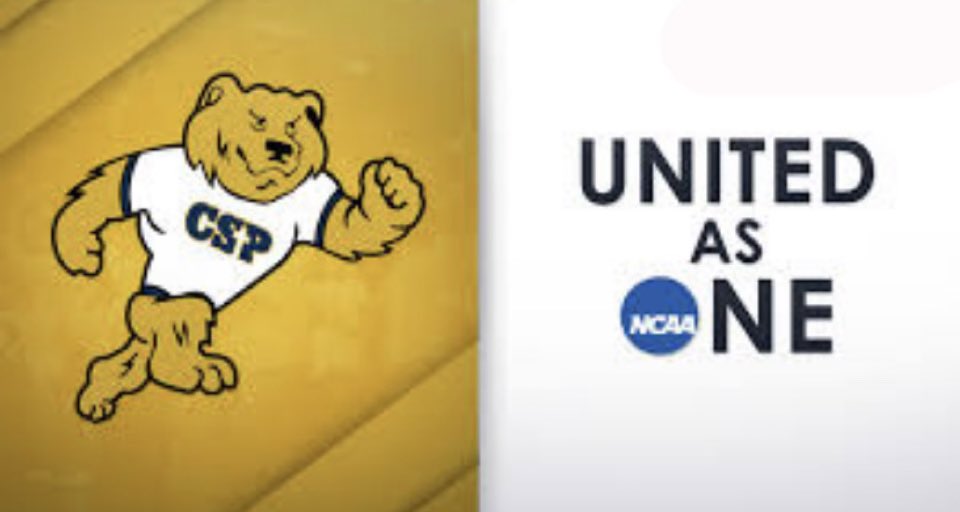 I am excited to announce my commitment to Concordia, St. Paul.  I need to thank my father, family, coaches, and teammates for pushing me along the way.  Thank you @XLR8Appleton and <a href="/stiksacademy/">GRB STiKS Baseball</a>.  Thank you Coach Lerner for this amazing opportunity!  Go Golden Bears!  ✨🐻