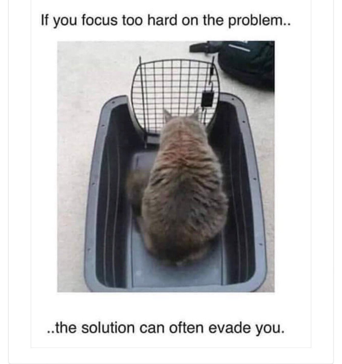 KayEs23442467's tweet photo. #distraction #leadershipcoaching #leadership #problemSolving https://t.co/S1Wo3uFdQj