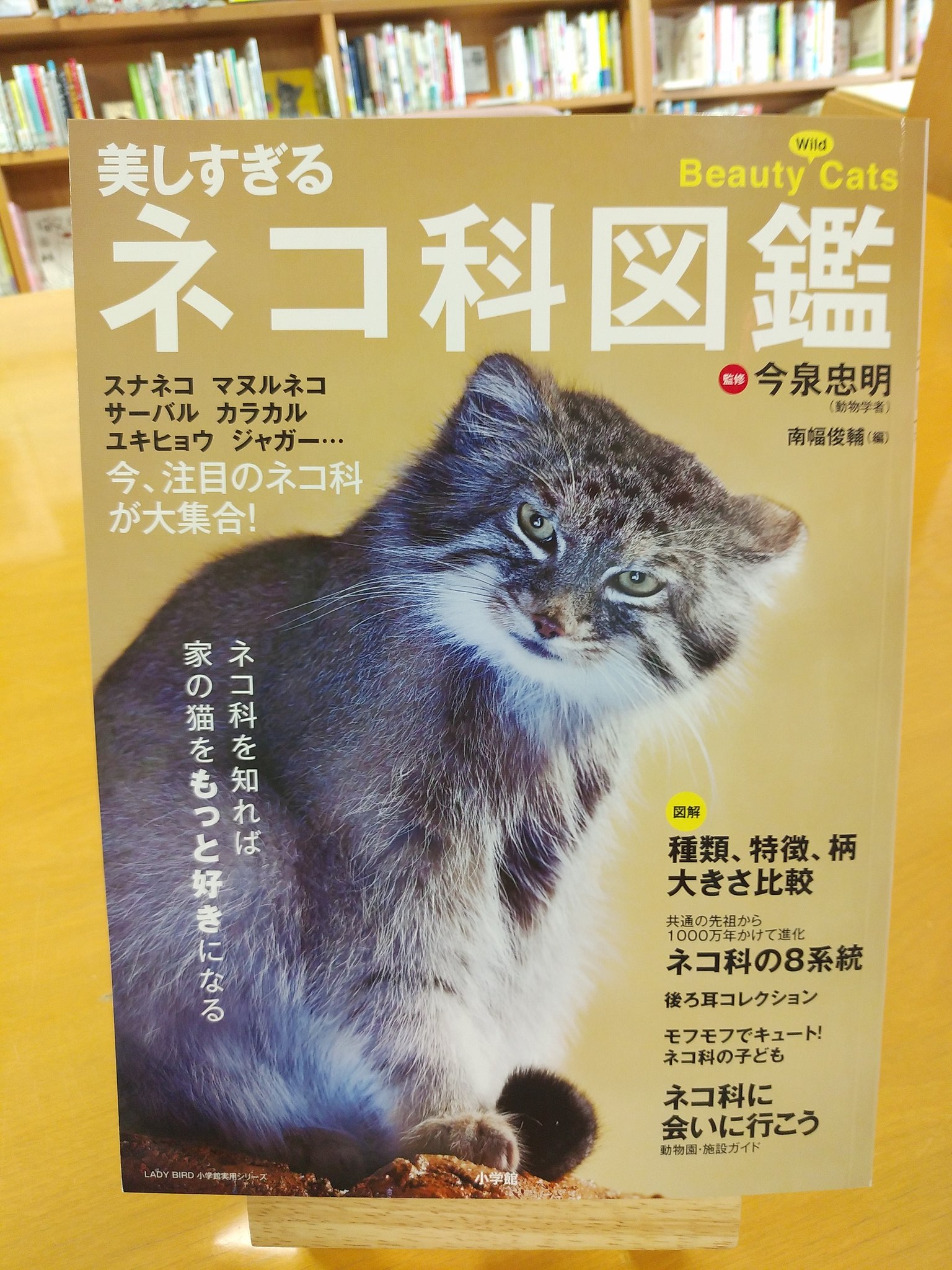 猫ノ図書館 寄贈御礼 南幅俊輔 さん待望の 新刊 美しすぎるネコ科図鑑 今泉忠明 監修 南幅俊輔 編 小学館 を寄贈頂きました 野性で生きる ネコ科 の美しい 動物 たちの姿や モフモフ キュートな子どもなど写真満載 南幅さん