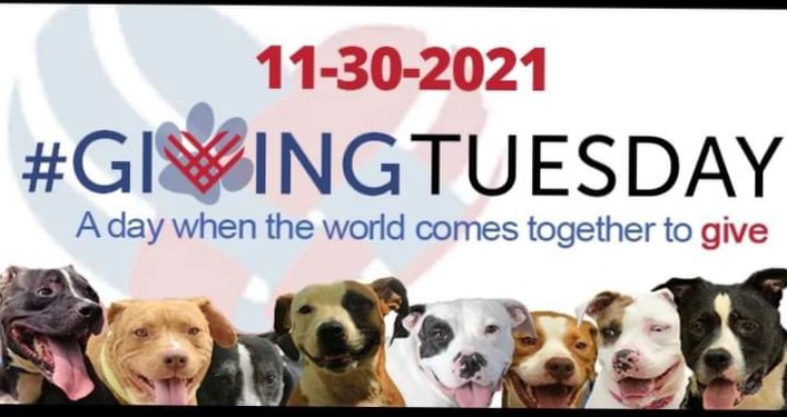 fmnrescue's tweet photo. Help us save these hard to place pups.We can't continue without your help. https://t.co/uWAteA1uLb