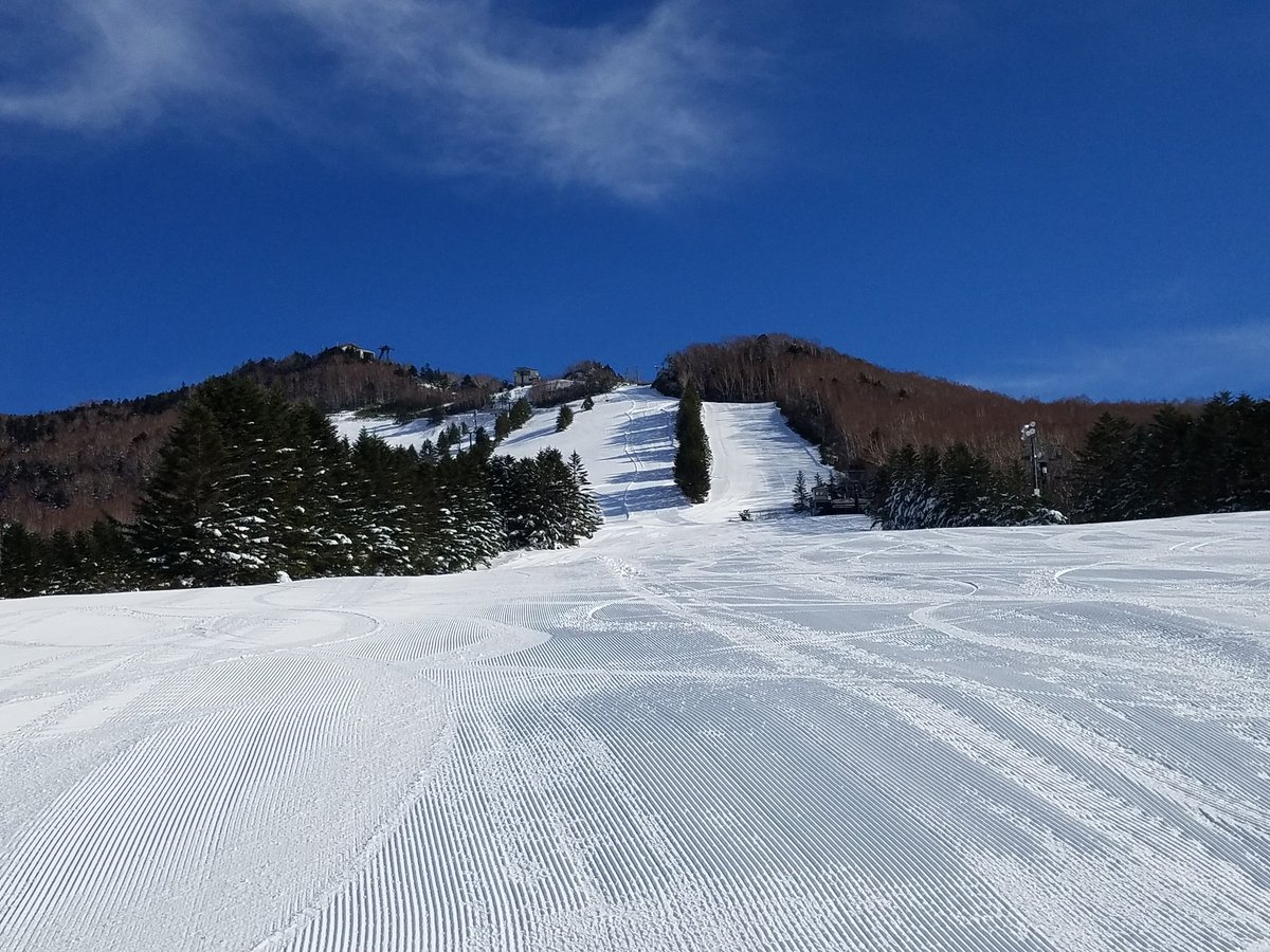 shiga_resort's tweet photo. こんにちは。現在営業中の高天ヶ原マンモススキー場です。今日はサイコーの天気！ https://t.co/JFviuzs9NR