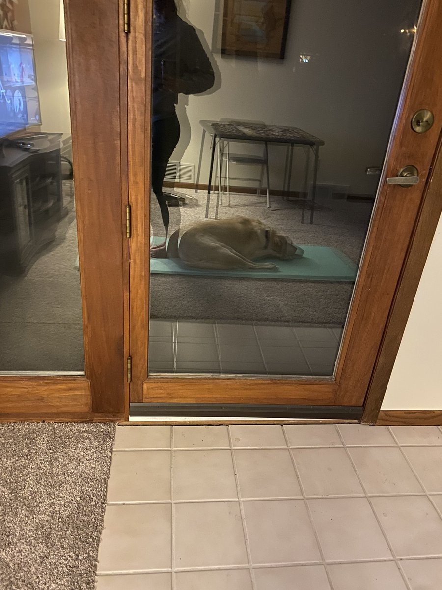 MaggieMikus's tweet photo. Good thing yoga joy ended standing…
#ywaNourish #yogawithdogs https://t.co/HeqNyY4kW0