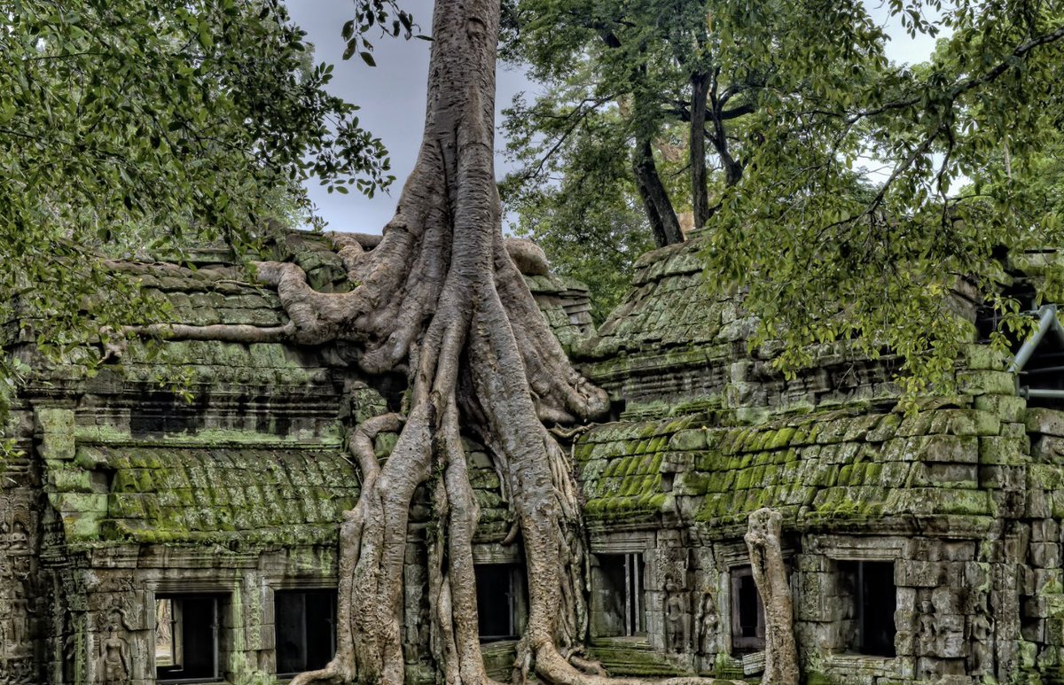 Travelmarvel_TM's tweet photo. Travelmarvel is excited to launch an iconic 12 day tour exploring spectacular #Vietnam and #Cambodia #Travelmarvel #Traveliscalling https://t.co/BDtPpVCRek https://t.co/xgOZCvlI9I