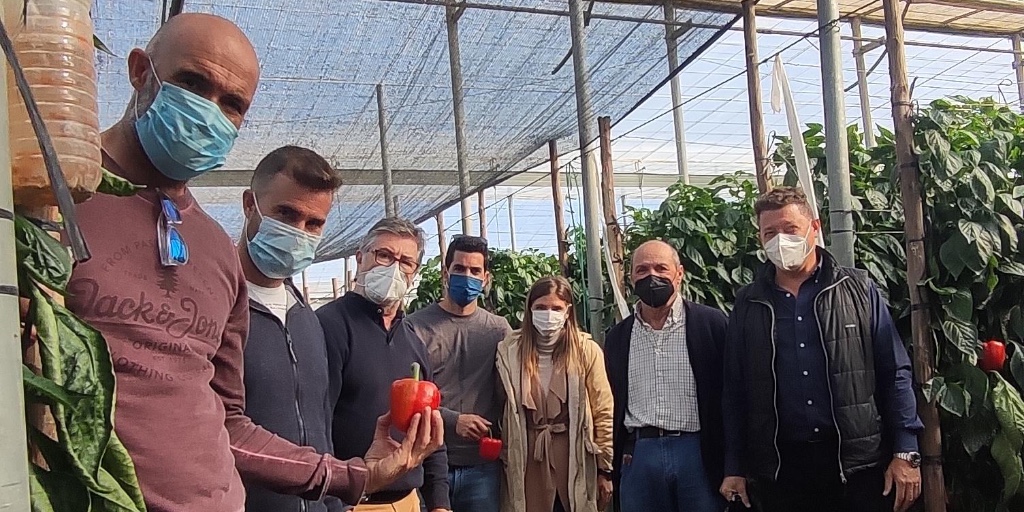 innovamosjuntos's tweet photo. Agradable jornada sobre novedades de pimiento california en ciclos medios de @rijkzwaanES con agricultores de la cooperativa #COPISI @unicagroup y los compañeros Alberto Domingo y José Luis ☺️ https://t.co/jsOXDjLQd1