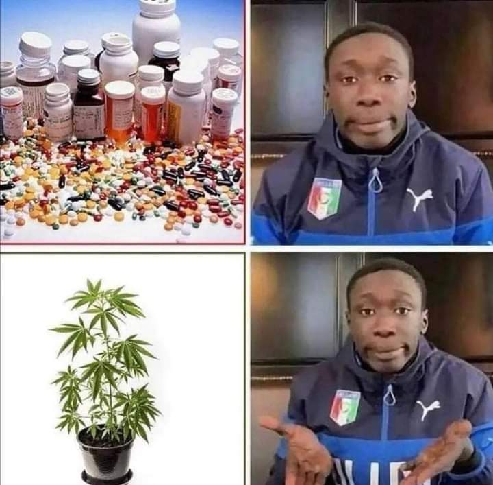 topcutfarms's tweet photo. 🙌
#topcutfarms #nuglife #newaromaoftacoma 
#realmedicine #bigpharmasucks #truth https://t.co/GdgQ9hYMds