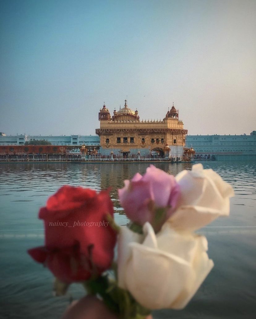 sikhshrine's tweet photo. He has spiritual ignorance within, he does not place his faith in the True Guru. He has deceit within himself, and so he sees deception in all others. The True Guru's Will does not enter into his consciousness, and so he wanders around, pursuing his own interests. https://t.co/CNuvoXW8UD