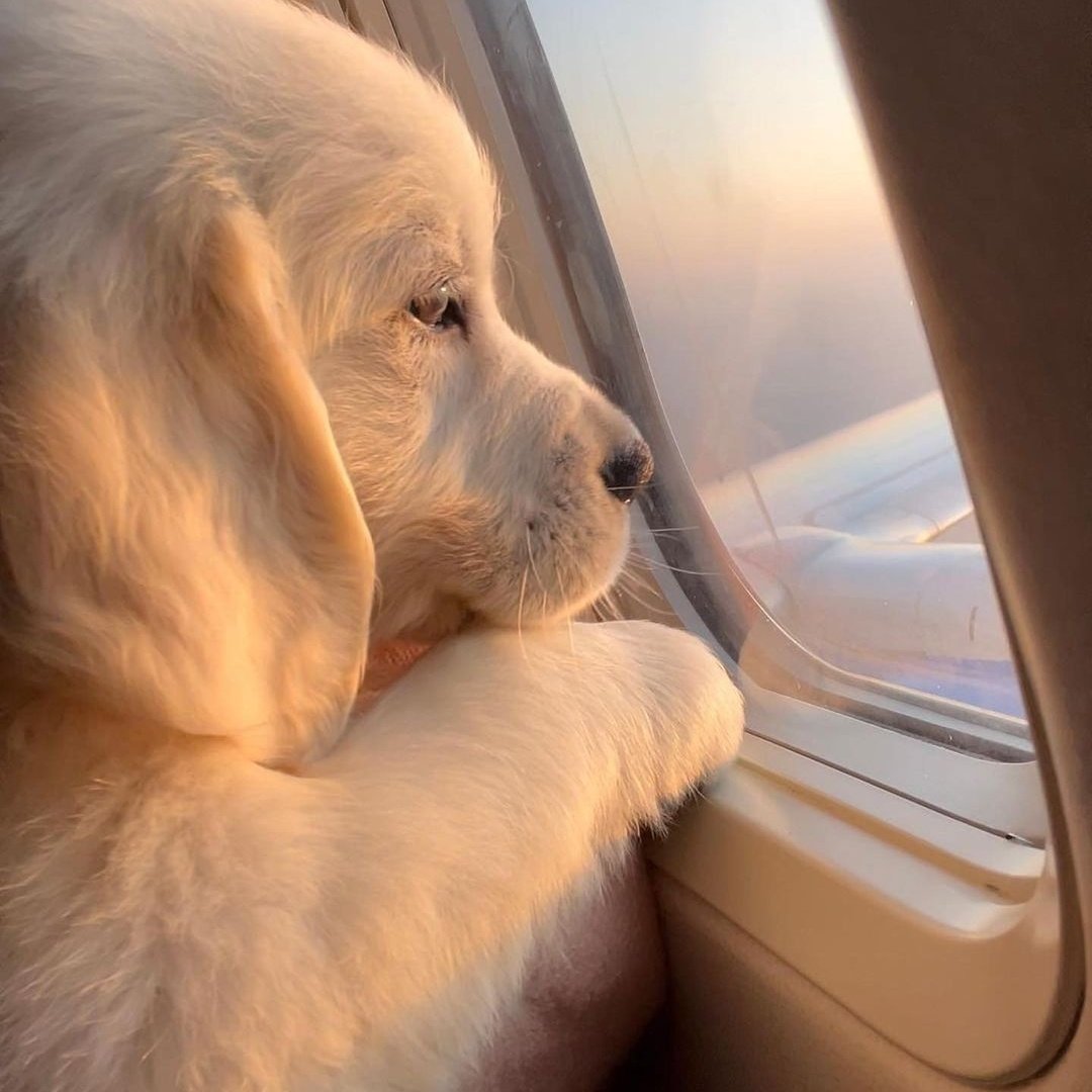 #صورة_ملف_شخصي_جديدة