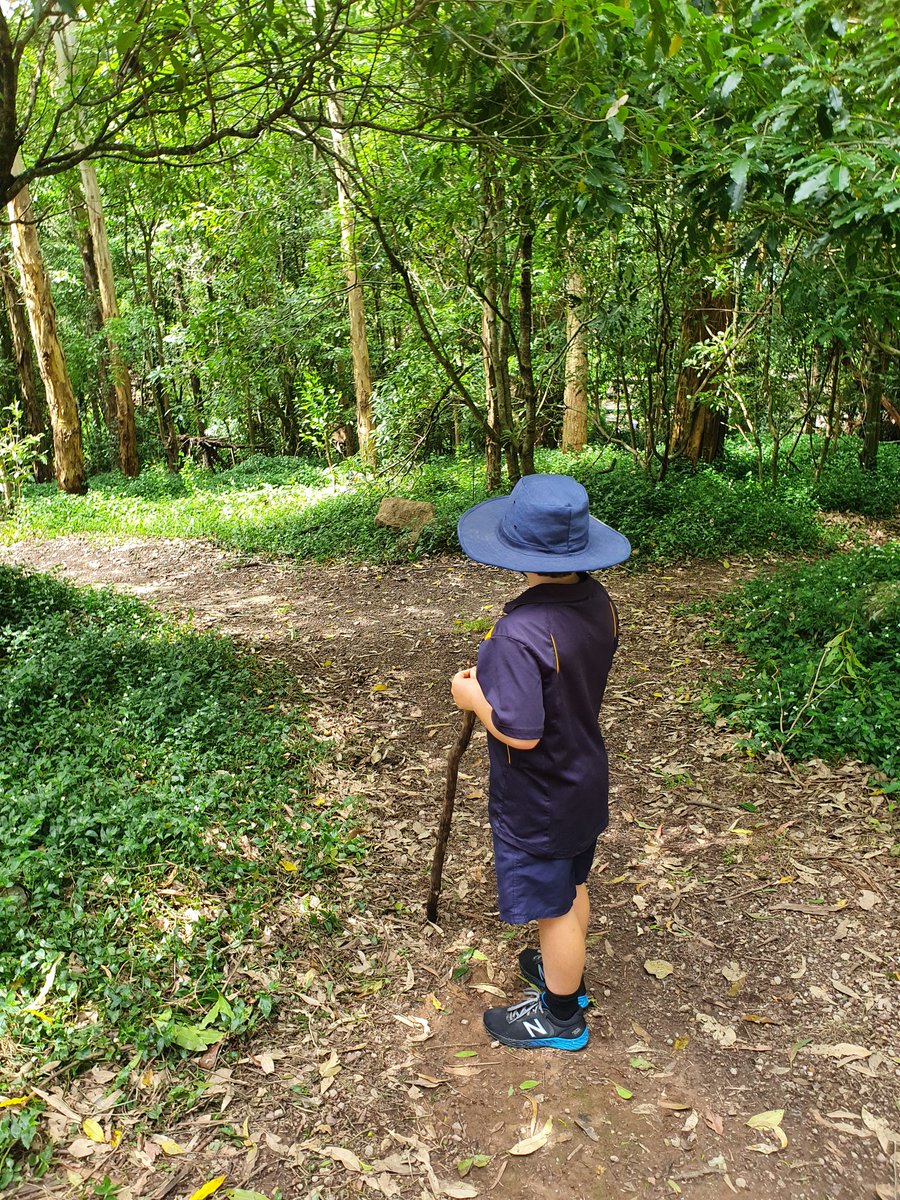 KangarooV_PS's tweet photo. S2 Whilst building in Kookaburra Creek overhearing... someone has self appointed themselves 'the emperor' with bodyguards and exiles are taking place. It's all gone a bit 'Lord of the Flies' 🤴🪰#KVPS #smallschools https://t.co/YeBy8Lfuen