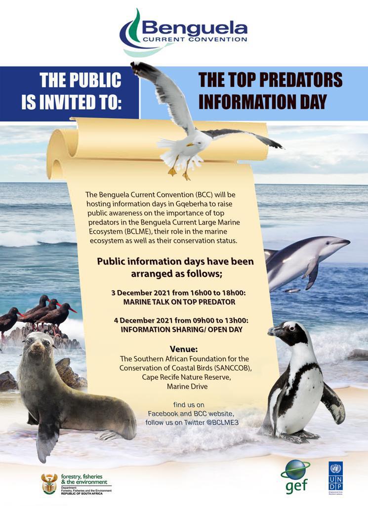 BCLME3's tweet photo. On 03-04 December 2021, the @BenguelaCC and @environmentza will be hosting a public awareness engagements on Marine Top Predators of Benguela Current #LME. The events will held in Port Elizabeth, #SouthAfrica. Kindly join us for the events #publicawareness https://t.co/EQV7VL6rRj