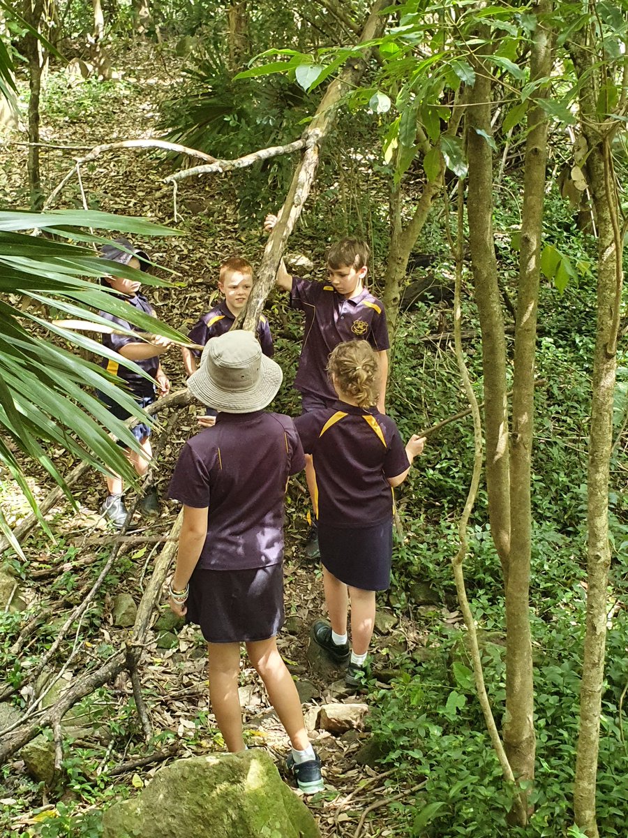 KangarooV_PS's tweet photo. S2 Whilst building in Kookaburra Creek overhearing... someone has self appointed themselves 'the emperor' with bodyguards and exiles are taking place. It's all gone a bit 'Lord of the Flies' 🤴🪰#KVPS #smallschools https://t.co/YeBy8Lfuen