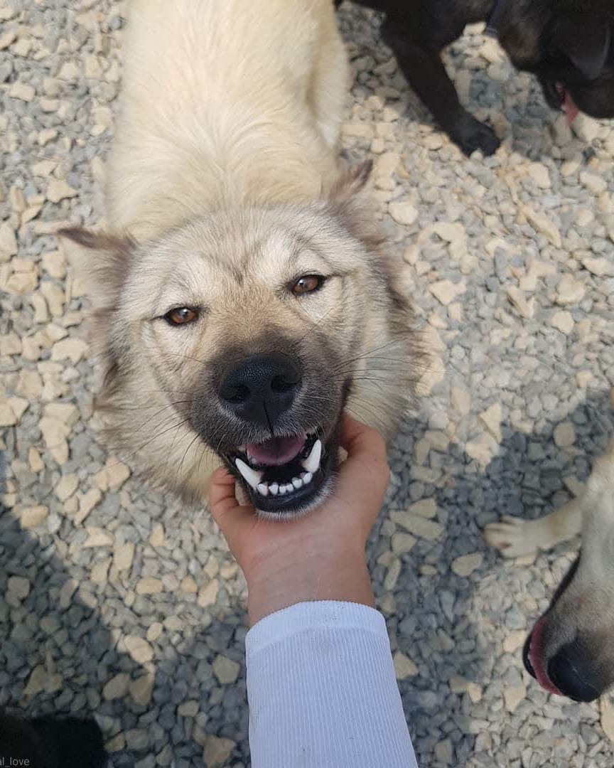 견생초보 토마스🧶실타래구조단🌟 tweet media