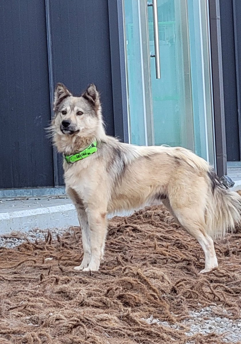 견생초보 토마스🧶실타래구조단🌟 tweet media