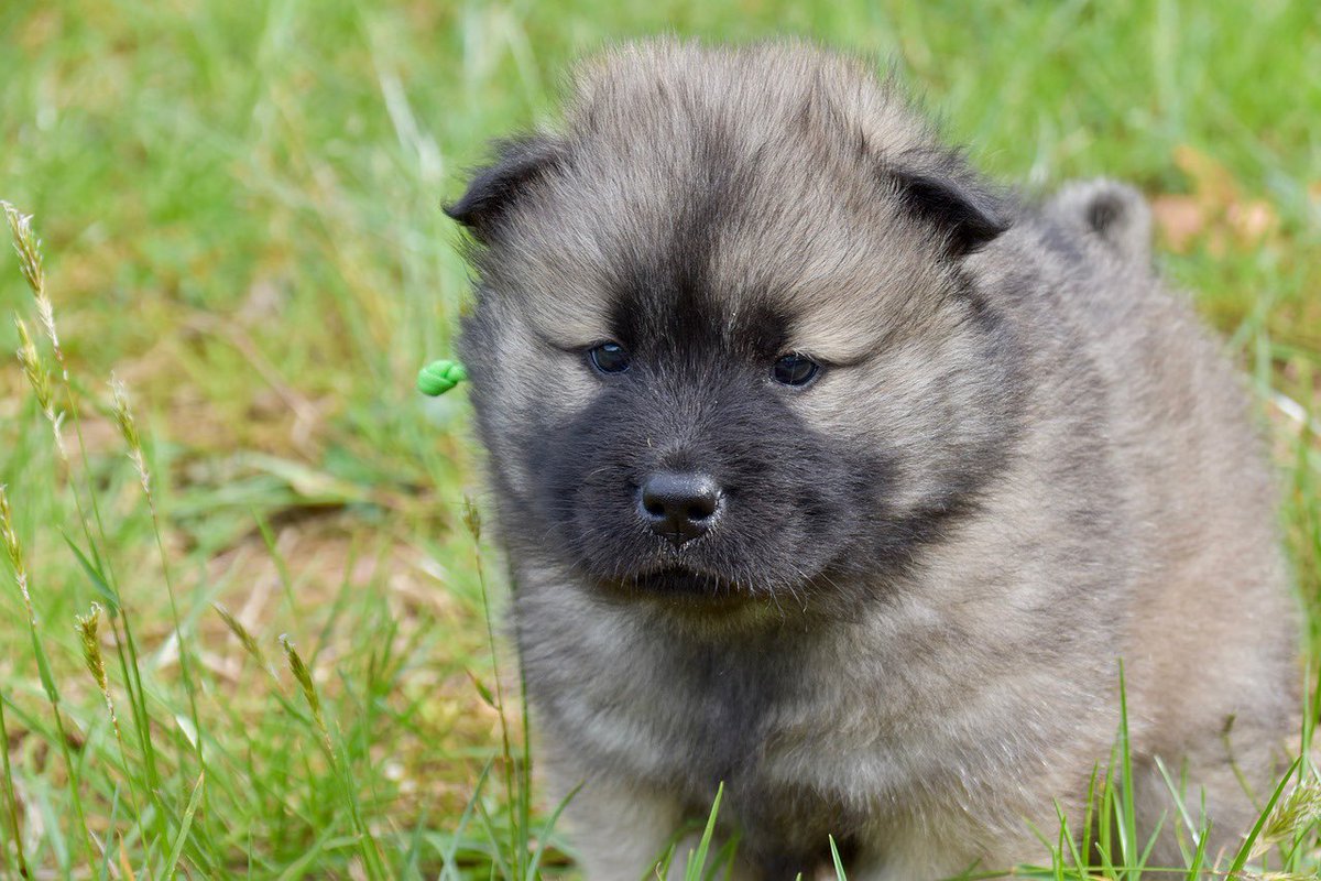 Guess__✍🏾 tweet media