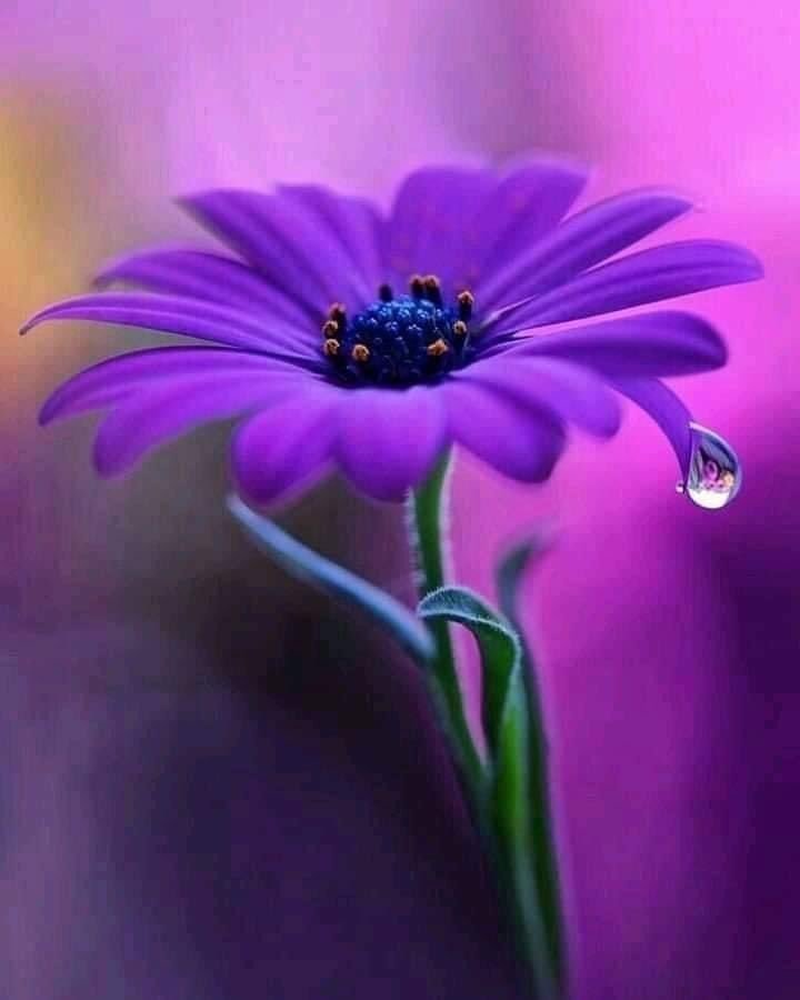 U
@ezelsayd
@Aygl010
@Lodos79
<a href="/nrykd37/">Nuray</a>
<a href="/gtkalici/">Hüseyin</a>
@_1i_11
<a href="/1elf_/">🧚‍♀️MELEK🧚‍♀️SULTAN 🧚‍♀️</a>
<a href="/7cns_/">꧁🔴𝐂𝐀𝐍𝐒𝐔🔴꧂</a>
<a href="/_tb35/">Ömer Güngör</a>
<a href="/_mftn/">meftun🍀</a>
@9Ulwi 
@1Asiay
<a href="/20ysf1/">Yusuf</a>
<a href="/2lem_1/">ADEM</a>
@svncnz
@1kralim
<a href="/63O06/">®️€M⭕ 🗣️📣 Gt VAR</a>
<a href="/06okm/">Human Rights</a>
<a href="/sitranc/">SITRANC</a>
<a href="/6hk34/">Hakan Kaynak</a>
<a href="/yslldd/">Yakma yamato</a>
@_Tzny
<a href="/elfrct/">€lif🌸</a>
<a href="/_dyr9/">D𝕖rya𓃭 </a>
@nehos0
<a href="/Elinkz101/">Elin kızı</a> 
@Usta5185
<a href="/atmaca_6/">TUNCAY BALIKÇI</a>
<a href="/mhmtt122/">🅼🅴🅼🅾</a>
<a href="/Sude0028/">✿Naz ♥‿♥✿</a>
<a href="/dany_grazia/">🌺🌼🌿🌺🌼🌿 Ǥ𝓻𝐚ｚɨａ 🌿🌺🌼🌿🌺🌼</a>
@mervegndz29