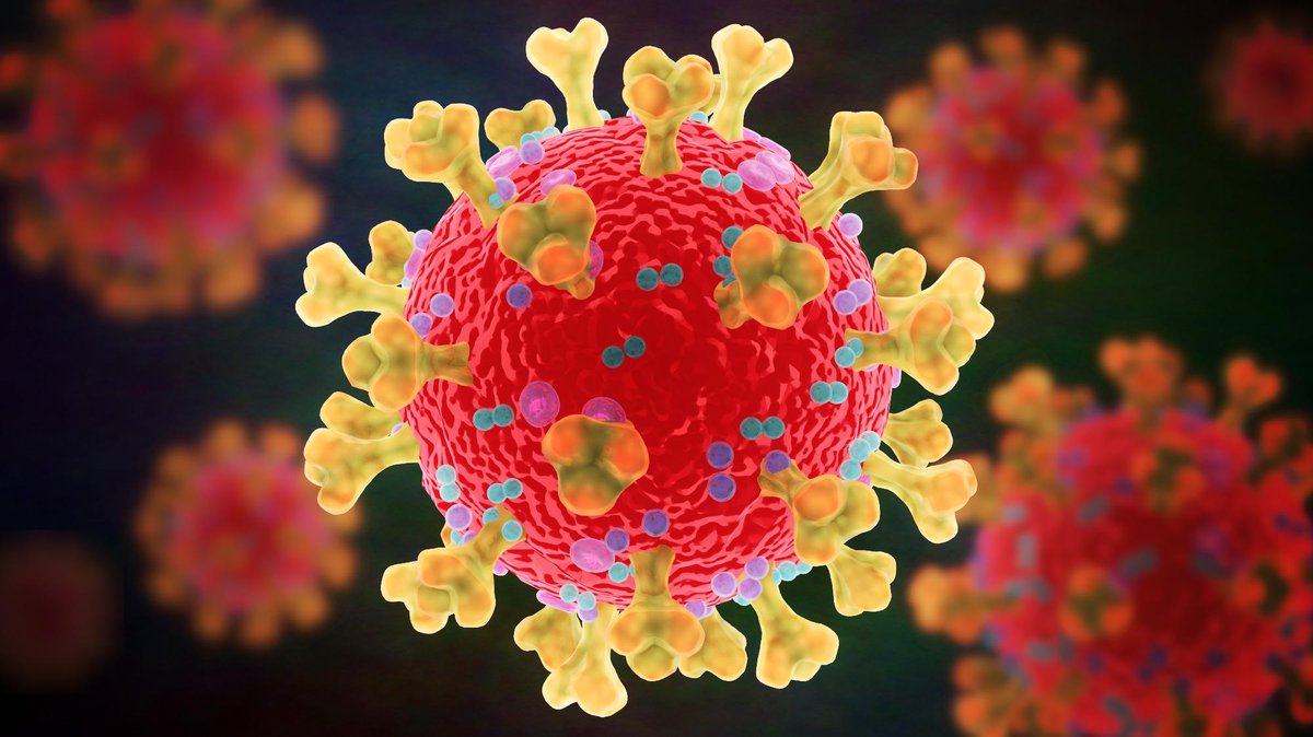 NewsMedical's tweet photo. Human LRRC15 protein is an inhibitory receptor for SARS-CoV-2 spike-mediated entry https://t.co/WoiCOukg8T #SARS #SARSCoV2 \
#Coronavirus #COVID #LRRC15 #Human #Leucine #RichRepeatContaining #Protein @Yale @YaleMed @BrownUniversity https://t.co/a2r9zWvTDo