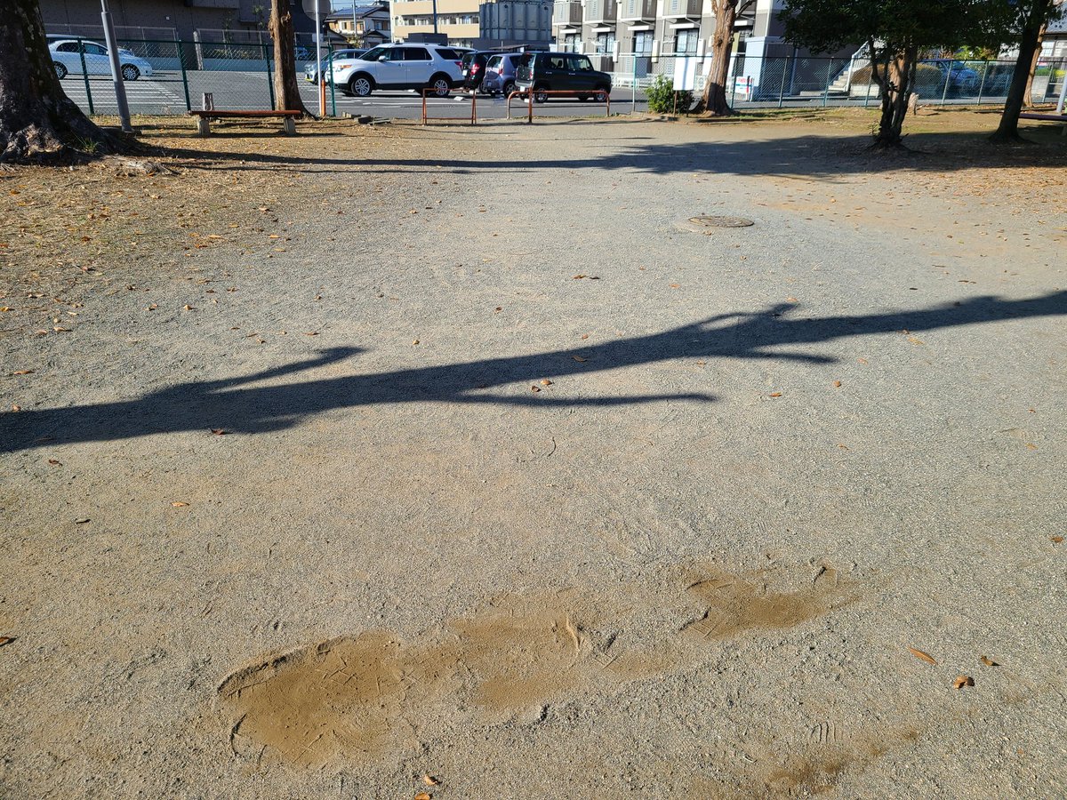 shirahigegym's tweet photo. こちら詠春拳の #尋橋 という形をやった足跡です。詠春拳にしては移動の多い形ですがこうしてみると小さい気がします
#詠春拳 #太極拳 #忍術 など武術で強く健康な体作り。「しらひげ道場」は会員募集中
https://t.co/G54LTwS3J5 https://t.co/2nfWl5gdE9