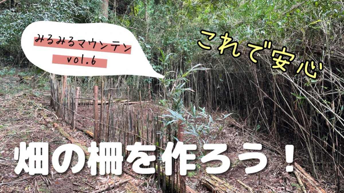 MITOMANAchan's tweet photo. 【山林開拓】
畑の柵作り(後編)がアップされてます♪♪ https://t.co/0r3JTaztNF
手話で表現するあだ名も考えました!!
ぜひご覧くださいませ^ ^
#mirumirulando #水戸まなみ
#山林開拓 #みるみるマウンテン
#柵づくり #畑づくり #手話
#m310 https://t.co/N2GseMaiKL