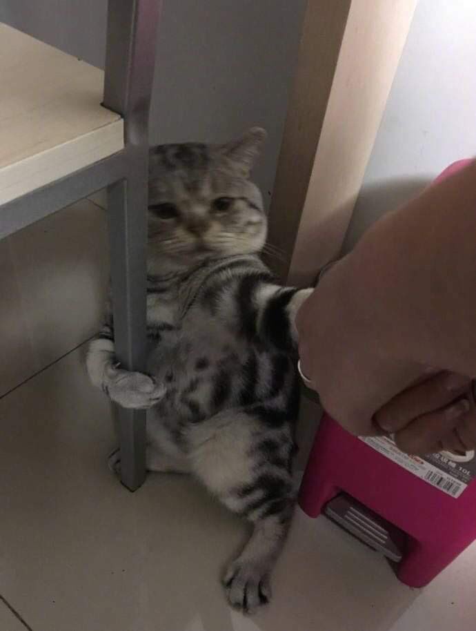 Kimdang_0169's tweet photo. 오늘 첫시험이 끝났다 실기 본지 2일만에 시험이고 또 시험이 끝나면 일요일날 실기다 그 실기 끝나면 또 다주 토요일 실기다..미친...🥺🥺 나도 플! 나만 못해앩 나도 트친주세요 나도 친해질래요 #트친 #멜섭 #에세머 #프레이 https://t.co/mCDbUlPyY0