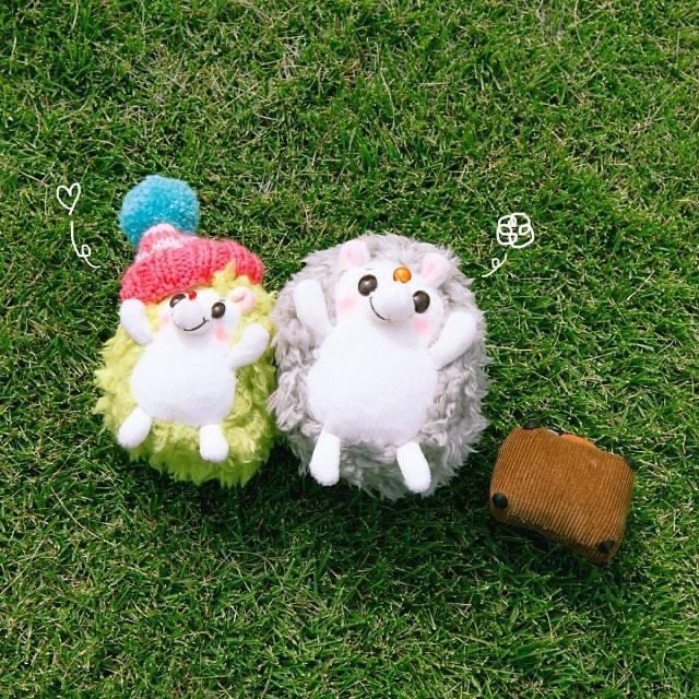 RainbowPockets's tweet photo. いっちゃったねー💭ねー♡
#ぬい撮り #rockandpaper https://t.co/kHbJiOzjEn