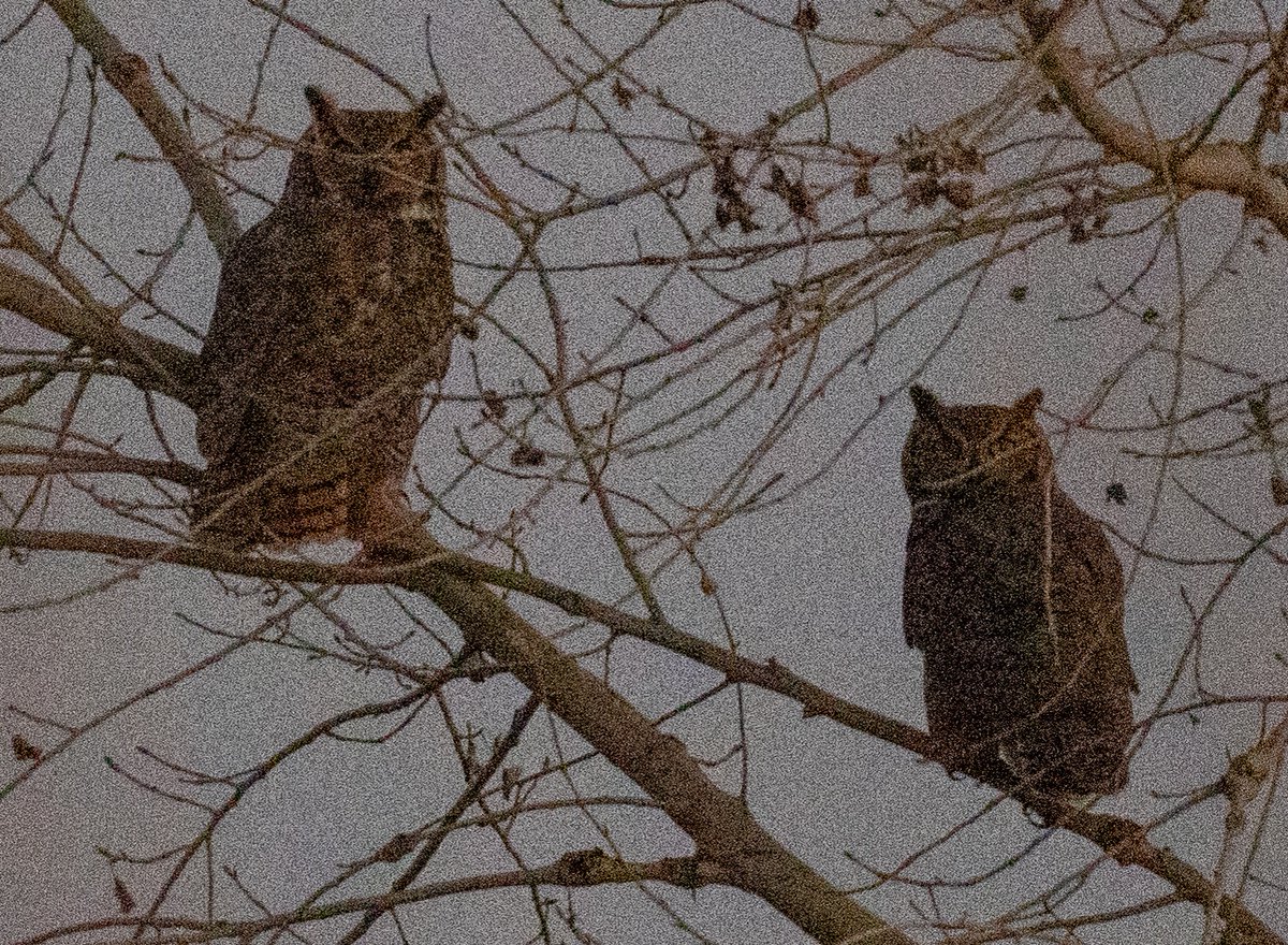 Jonathan Eisen tweet media