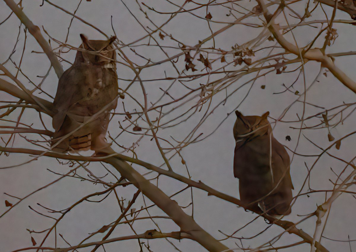 Jonathan Eisen tweet media