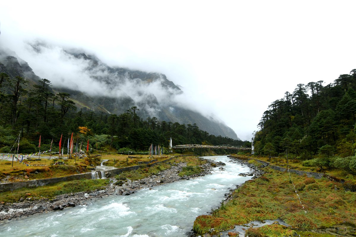 TourMyIndiaa's tweet photo. Embrace the snow-capped mountains of a 'small pass' called Lachung,the gorgeous handicraft markets clubbed with the most beautiful landscapes, the pristine valleys and waterfalls will sometime take you to unknown destinations &amp; the Apple Orchards will always blow your heart away. https://t.co/FKwKLJNrBu