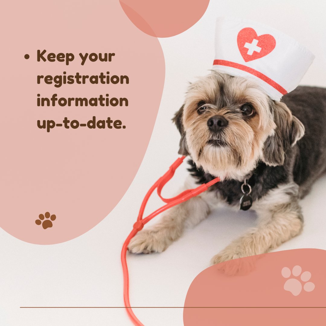 petofyindia's tweet photo. #petparents A simple process after microchipping your pet.. 👇
✅ Read More: https://t.co/fqpKhmSkAK
.
.
.
.
.
#ATTENTION #attentionpetparent #petparenting #dog #cat #dogs #dogsofinstagramworld #DogsofTwittter #doglover #dogloversofinstagram #catsofinstagram #catlover #catlife https://t.co/nPHlRWBlcp