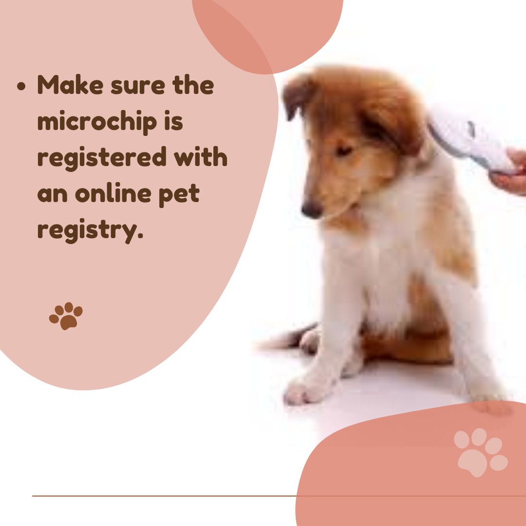 petofyindia's tweet photo. #petparents A simple process after microchipping your pet.. 👇
✅ Read More: https://t.co/fqpKhmSkAK
.
.
.
.
.
#ATTENTION #attentionpetparent #petparenting #dog #cat #dogs #dogsofinstagramworld #DogsofTwittter #doglover #dogloversofinstagram #catsofinstagram #catlover #catlife https://t.co/nPHlRWBlcp