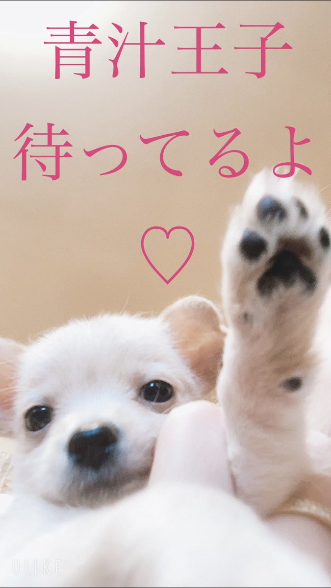 com68107302's tweet photo. 私とみずなﾁｬﾝの気持ちは届かないのかな…
ちょっとでも目に止まって欲しい🥺

#青汁王子 
#青汁砲 
#青汁王子に届け 
#神様仏様えちる様 

https://t.co/57VzRhSFHN https://t.co/O9ZXlTucd7
