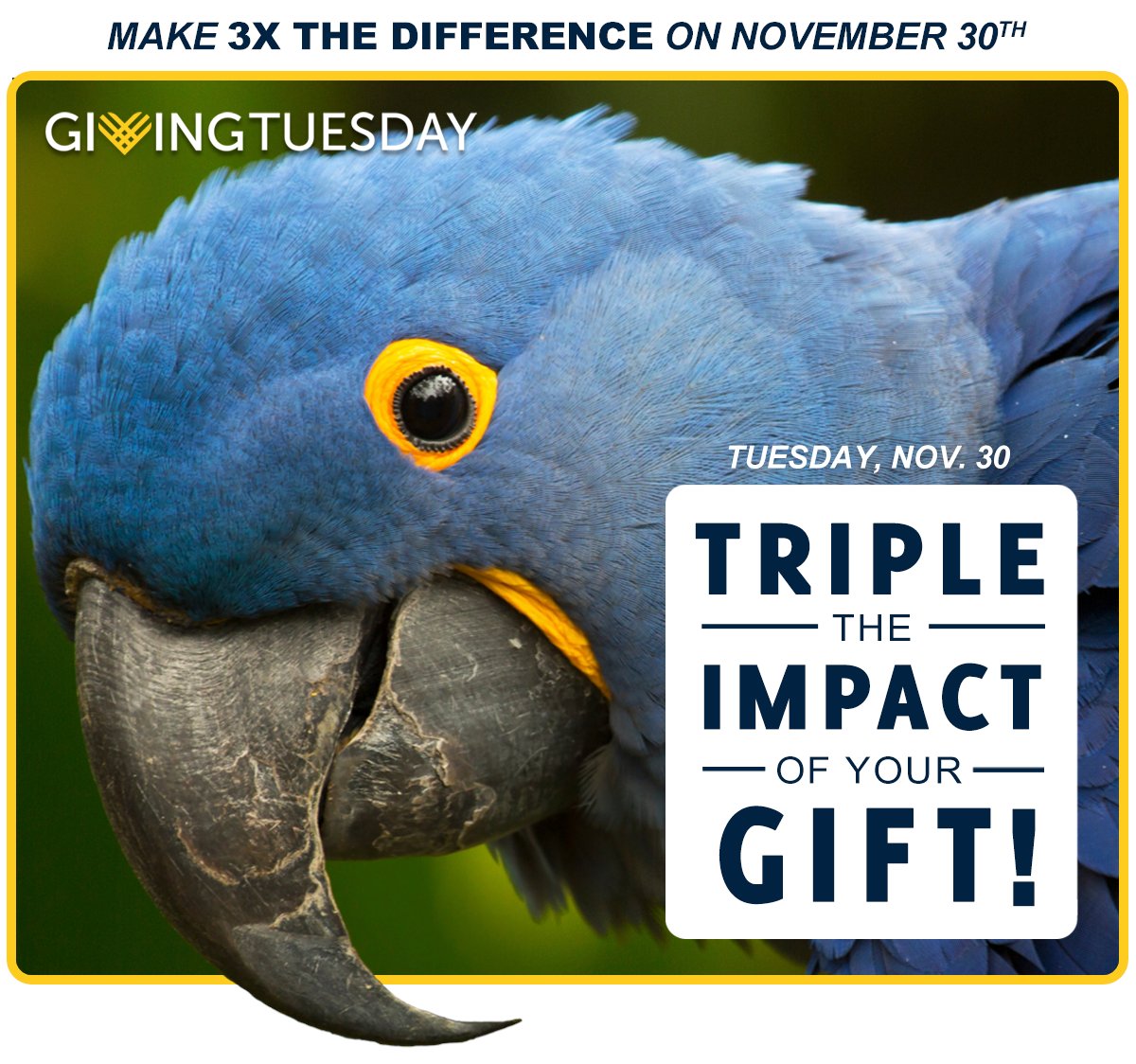 Triple match for World Parrot Trust today Nov 30 only! Support parrot conservation! <a href="/ParrotTrust/">World Parrot Trust</a>  mightycause.com/story/From-Thr…