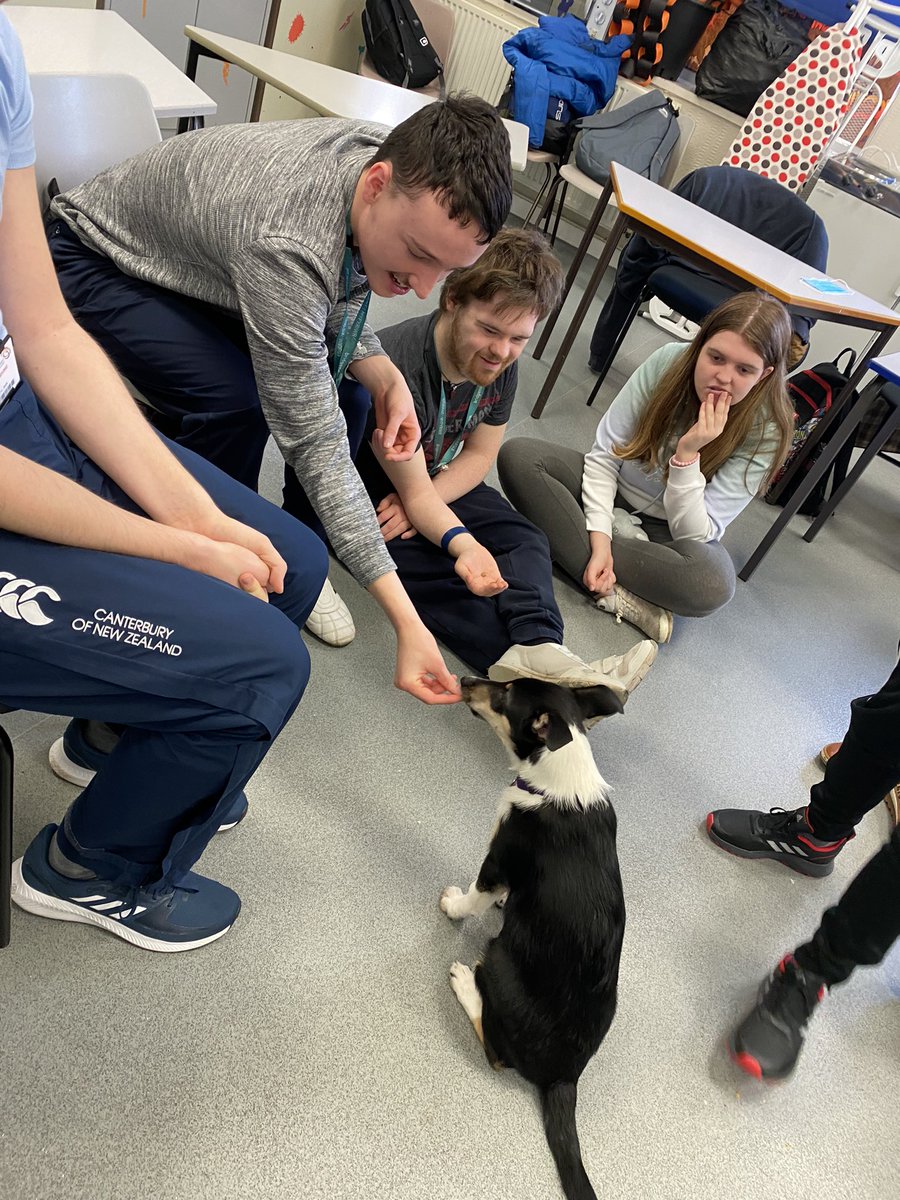 ILSBridgendColl's tweet photo. ILS have been enjoying learning about puppy development, birth &amp; puppy care with their little Smooth Collie visitor, Vega Luminosa. They have been following her journey from womb to birth &amp; finally met her last week &amp; this at 12 &amp; 13 weeks. Watch this space for more pupdates. https://t.co/gc5teylvNY