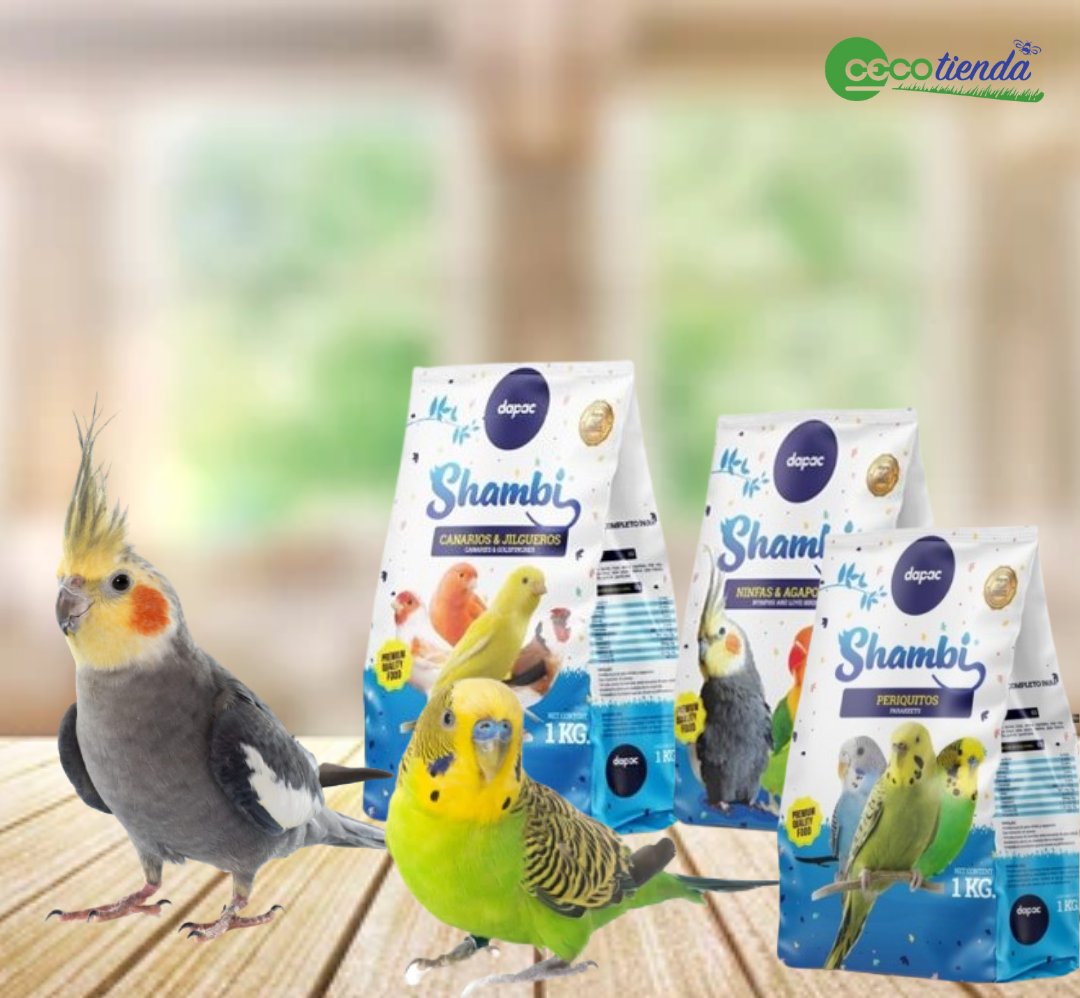 cecogainfo's tweet photo. 🦜 CUIDA DE TUS PÁJAROS CON SHAMBI 🦜
Entra en el siguiente enlace y conócelas
⬇️⬇️
https://t.co/aoS19JStLe
💥 ¡VISITA NUESTRAS CECOTIENDAS Y HAZTE CON LA TUYA!
#comidapajaros #periquitos #mixturas #shambi #loros #ninfas https://t.co/Wv47mVOH0z