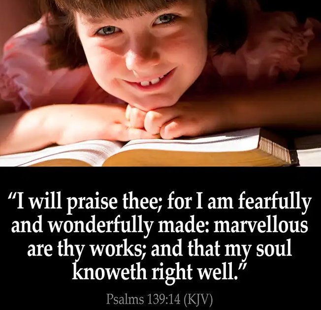 ArefMashaliUK's tweet photo. "I will praise thee; for I am fearfully and wonderfully made: marvellous are thy works; and that my soul knoweth right well."
Psalms 139:14 https://t.co/a0ZRFdPvDd