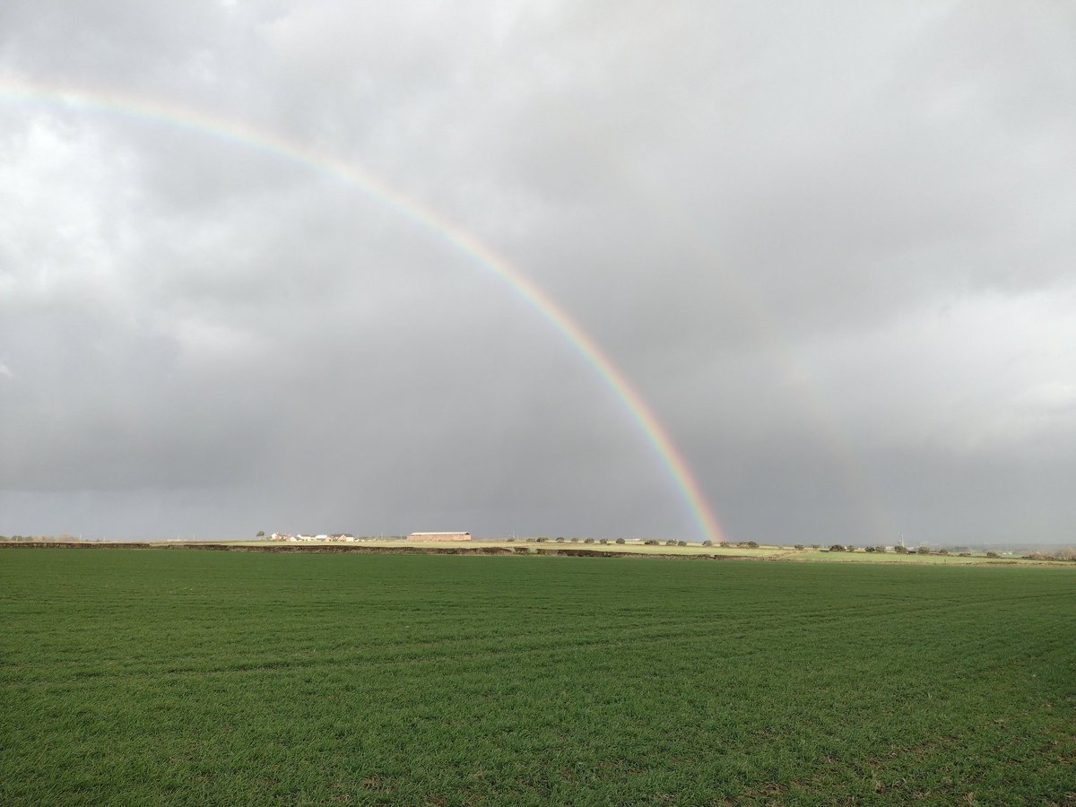 SprigofHeather's tweet photo. Après l'orage - after the storm - post la ŝtormo. #TraductriceSePromène #TradukistoVagadas #TranslatorWalking https://t.co/SPFbOO4q0A