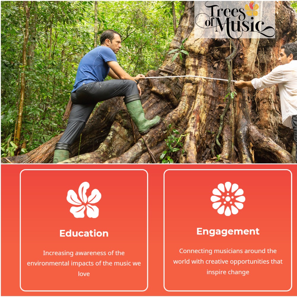 treesofmusic's tweet photo. A little background on #TreesofMusic:

The Pernambuco tree or “tree of music” only habitat, has shrunk to just 6% of its original size in Brazil.

This #project created by @rainreforest is aimed to:
Plant 50,000 Pernambuco trees
Reforest 150 springs
Produce timber for bow making https://t.co/IMY8LmZzzf