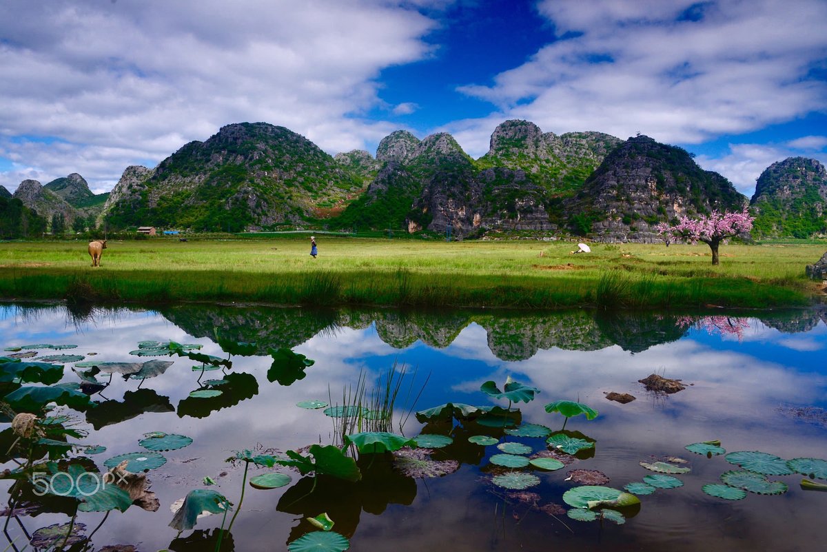 手戈 找靑狼 (@kiratokiokakeru) | Twitter