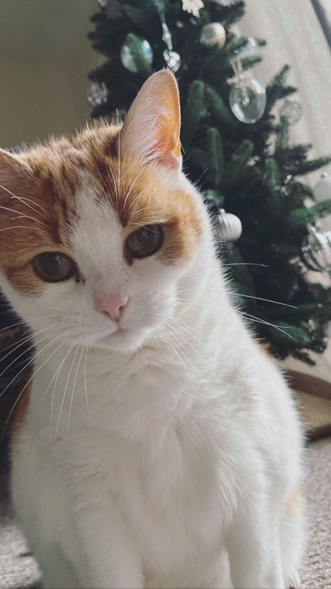 My gift to you if you’re feeling a bit tense, anxious, uncertain or sad this morning. ❤️