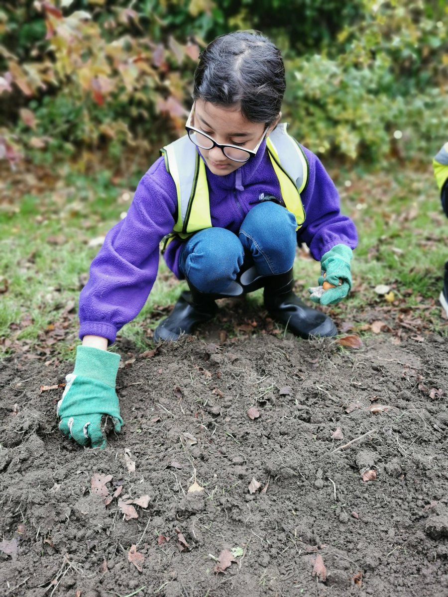 ECOLHS1's tweet photo. Eco Warriors are planting winter bulbs with @Veolia #biodiversity #environment @LHS_Watford @HeadLHS https://t.co/ga4mx78uwK