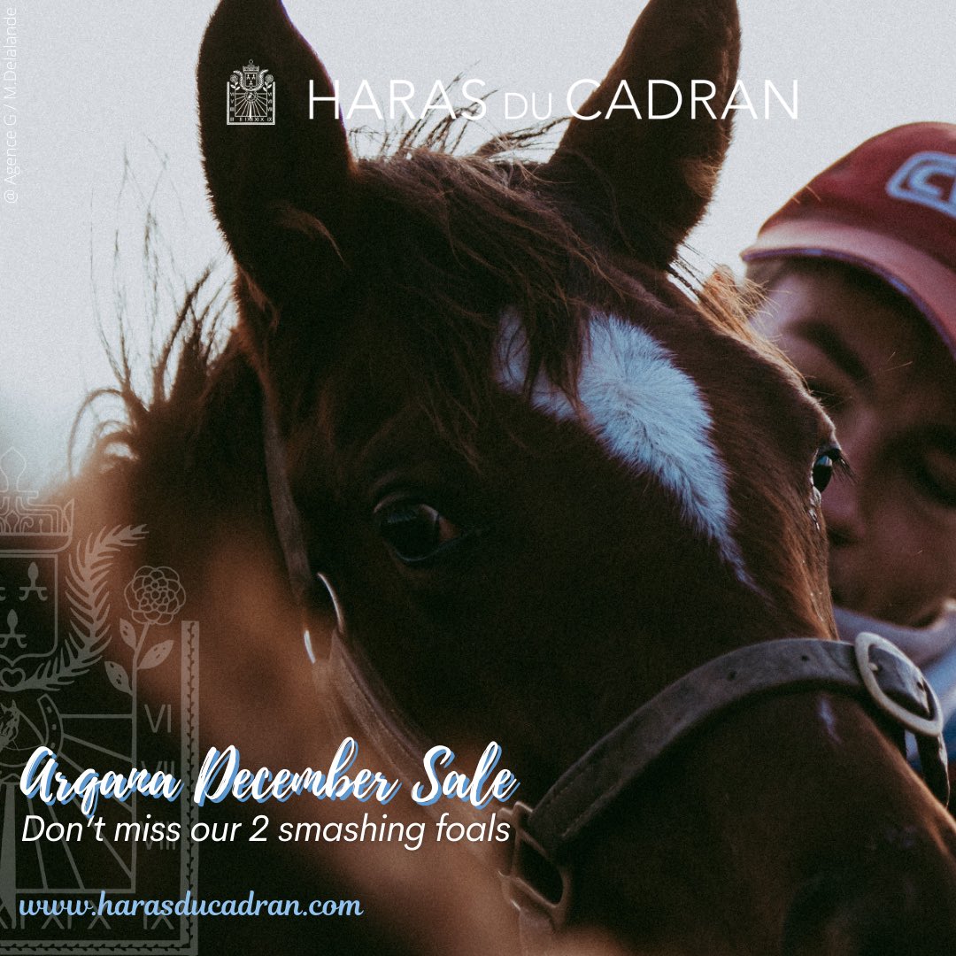 ❄️ Come and see us at ARQANA (<a href="/InfoArqana/">ARQANA</a>) Breeding Stock Sale ❄️

Don’t miss our consignment:
🌟 2 smashing foals by exciting freshman sire THE GREY GATSBY (<a href="/PetitTellier/">PETIT TELLIER</a>), whose first 2yos have been lighting up the track.
Both out of young mares by Great Journey.