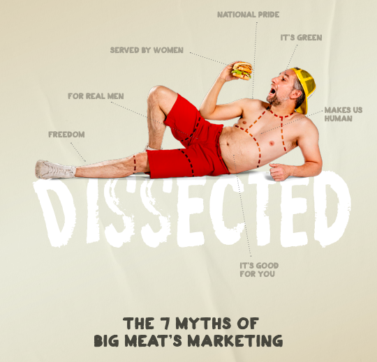 Sini Eräjää tweet media