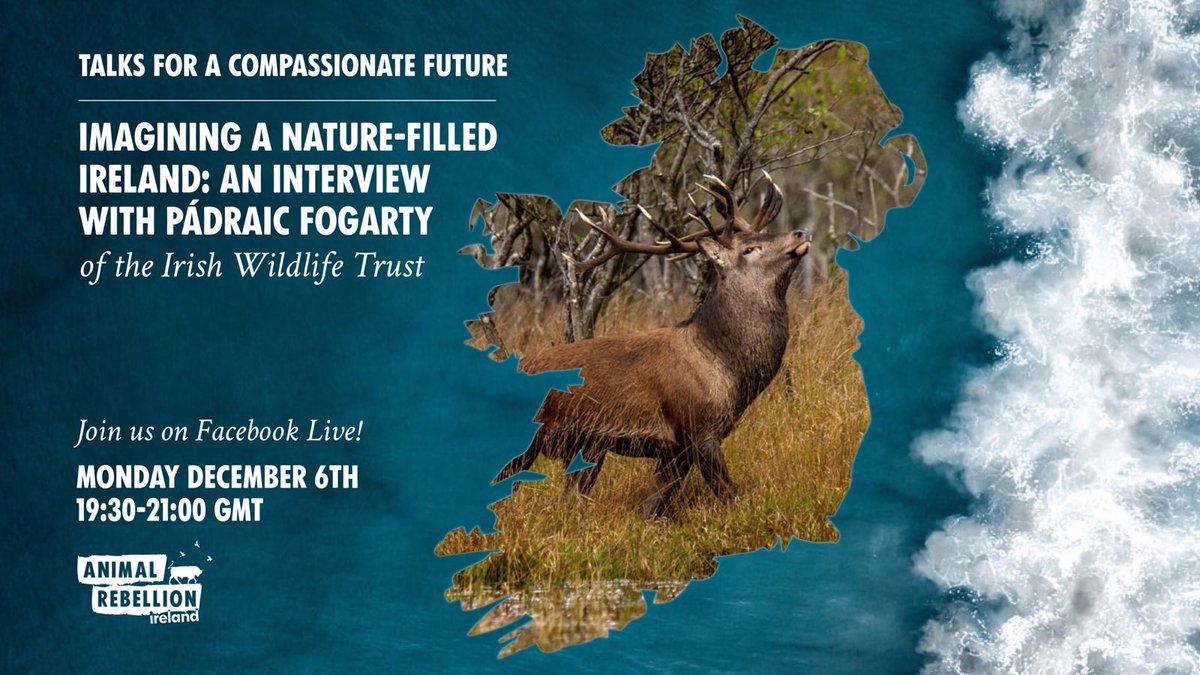 AnimalRebelIRE's tweet photo. Join us next Monday, Dec 6th at 7.30pm for the latest installment in our monthly series of Talks for a Compassionate Future. This month, we’ll be hearing from @whittledaway of the @Irishwildlife on the subject ‘Imagining a Nature-Filled Ireland’: https://t.co/UdrRQRFAUx https://t.co/q4mU0L2S2l