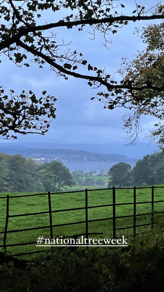 The Kilmahew Estate has donated 300 acorn and beech nuts to the Scottish Woodland Trust for the future planting of our native species. #kilmahew #kilmaheweducationtrust #kilmahewestate #kilmahewwoods #scottishwoodlantrust #nationaltreeweek #nativetrees #scottishwoodland #argyll