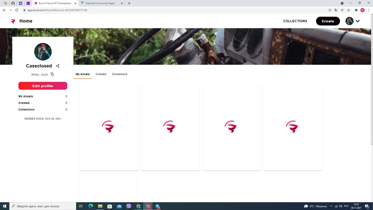 I still can't see my NFT ))) 
My site does not load.
