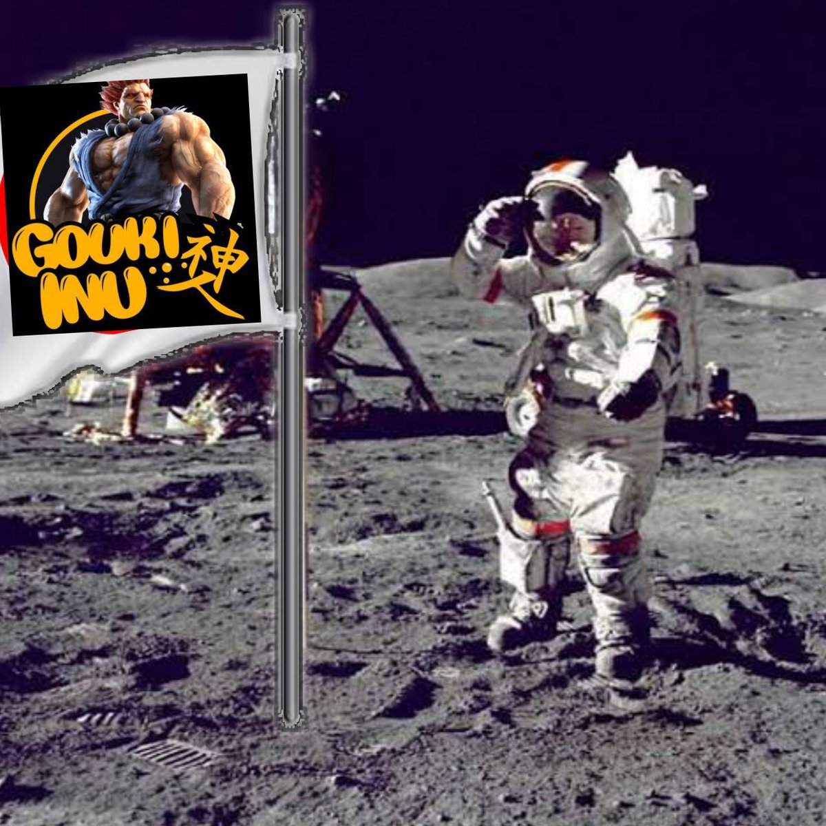 Sela Aw01 tweet media