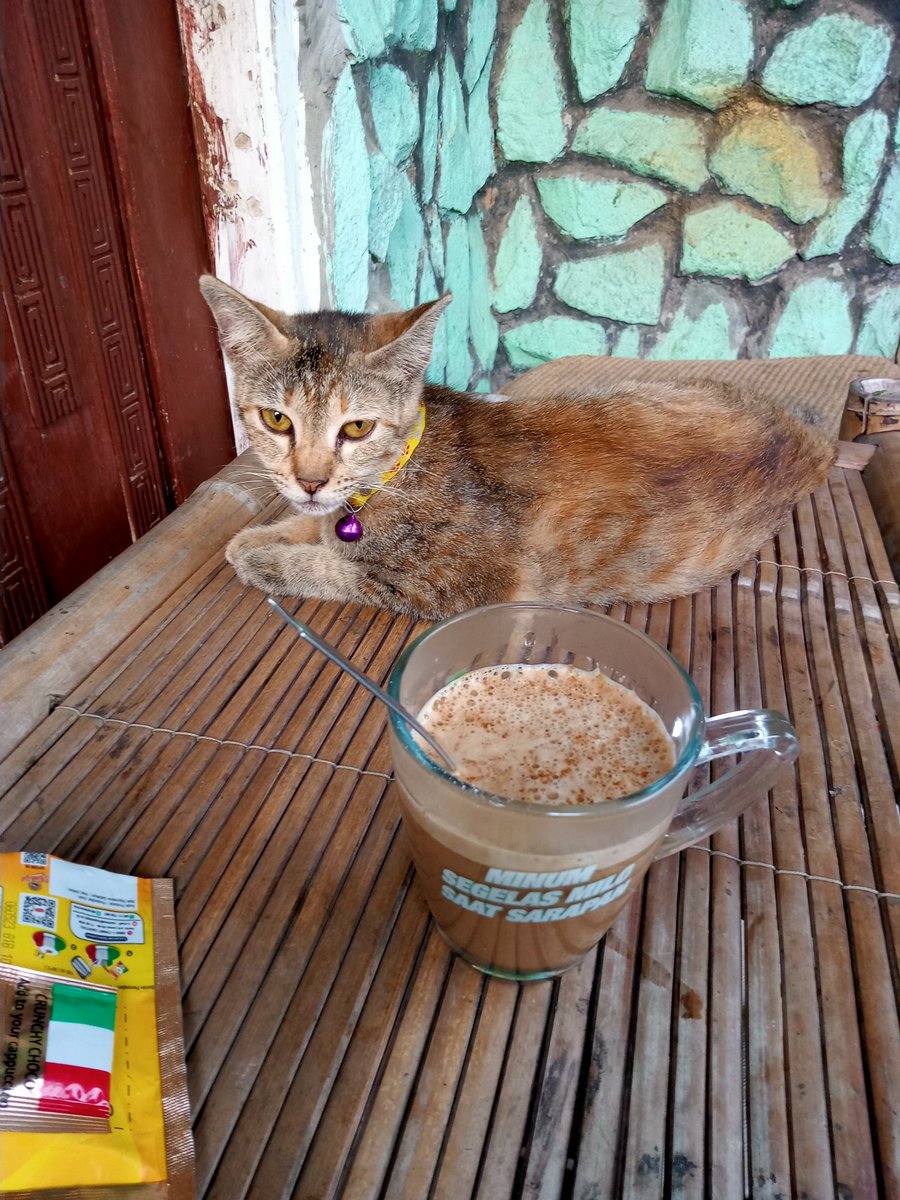 yurmilani2's tweet photo. Cat
#CatsOfTwitter
#방탄소년단진 #SpiderManNoWayHome https://t.co/zpTsMo6flH