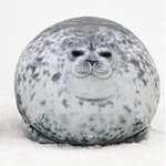 あんなにまるまるとしていたのに…猫さんに乗られ平になったアザラシクッション!